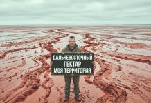 КАК “ДАЛЬНЕВОСТОЧНЫЙ ГЕКТАР” СТАЛ КОШМАРОМ ДЛЯ СЕЛА РЫБАЦКОГО